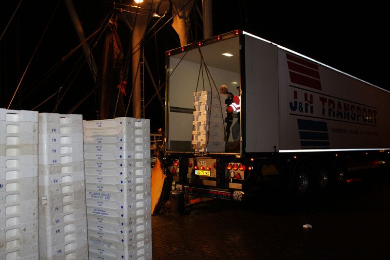 J&H Transport Velserbroek is de absolute specialist in vistransport